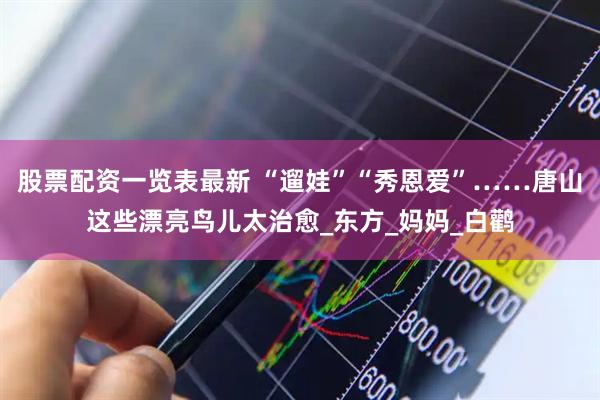 股票配资一览表最新 “遛娃”“秀恩爱”……唐山这些漂亮鸟儿太治愈_东方_妈妈_白鹳