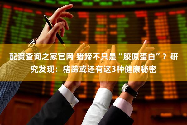 配资查询之家官网 猪蹄不只是“胶原蛋白”？研究发现：猪蹄或还有这3种健康秘密