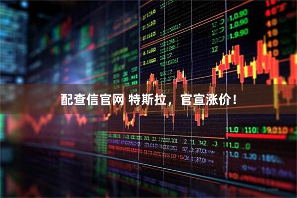 配查信官网 特斯拉，官宣涨价！