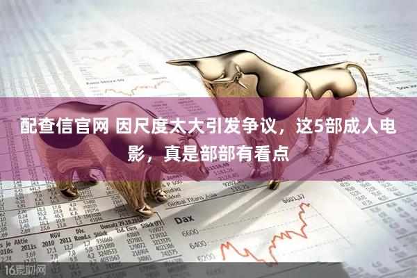 配查信官网 因尺度太大引发争议，这5部成人电影，真是部部有看点