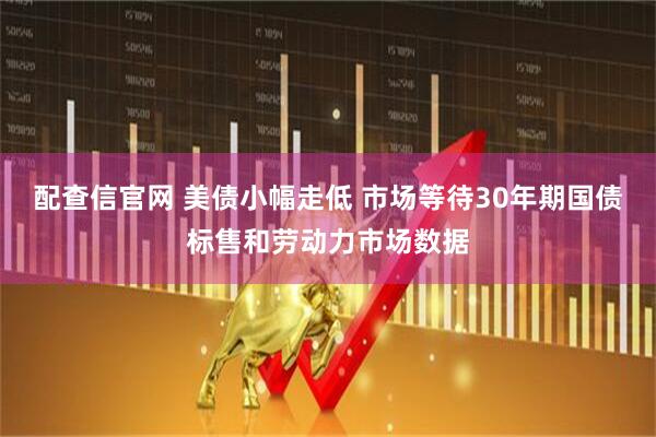 配查信官网 美债小幅走低 市场等待30年期国债标售和劳动力市场数据
