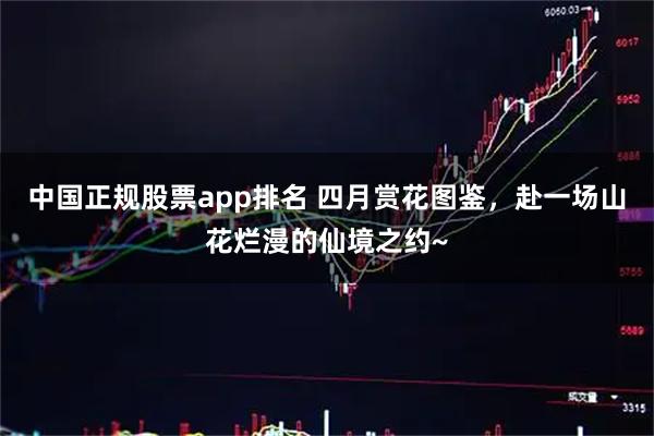 中国正规股票app排名 四月赏花图鉴，赴一场山花烂漫的仙境之约~