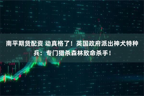 南平期货配资 动真格了！英国政府派出神犬特种兵：专门猎杀森林致命杀手！
